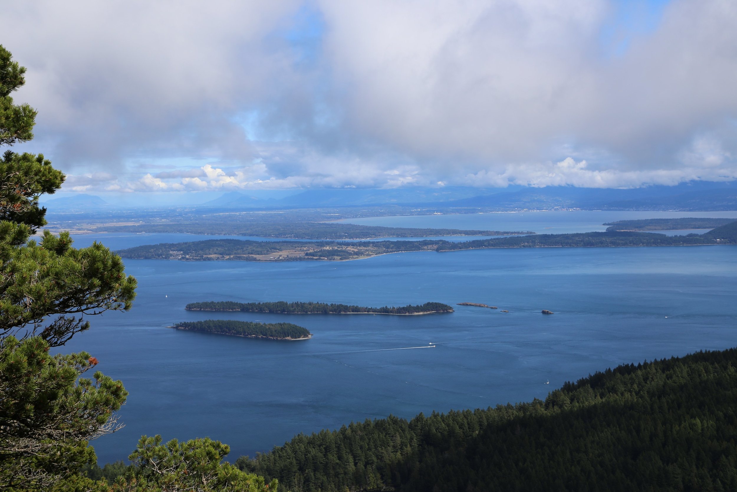  View from the top of Mount Constitution 