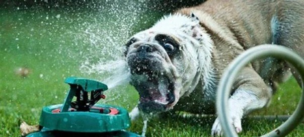 Attacking while attacked