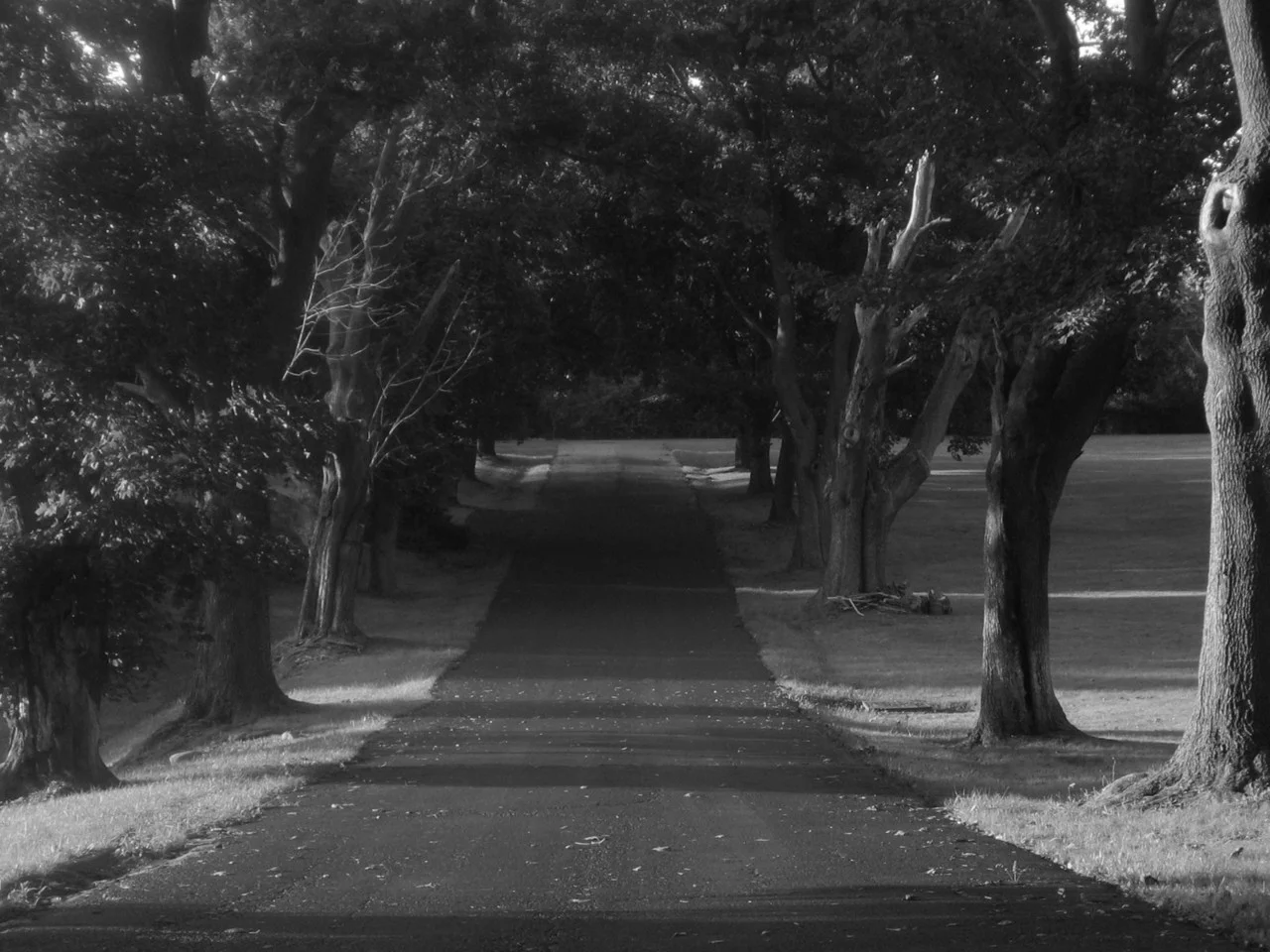 The day I almost gave up