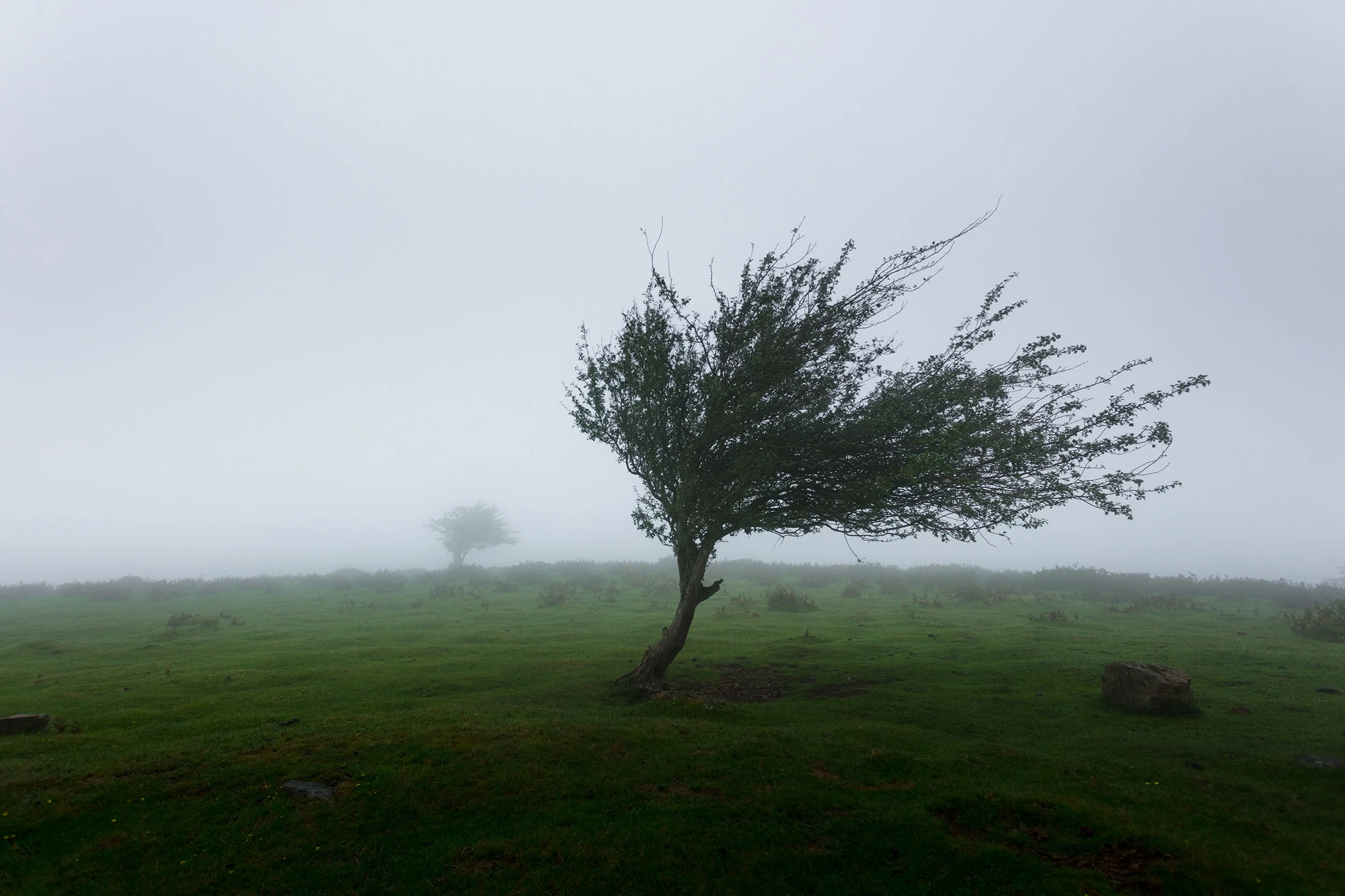 Blowing with the wind
