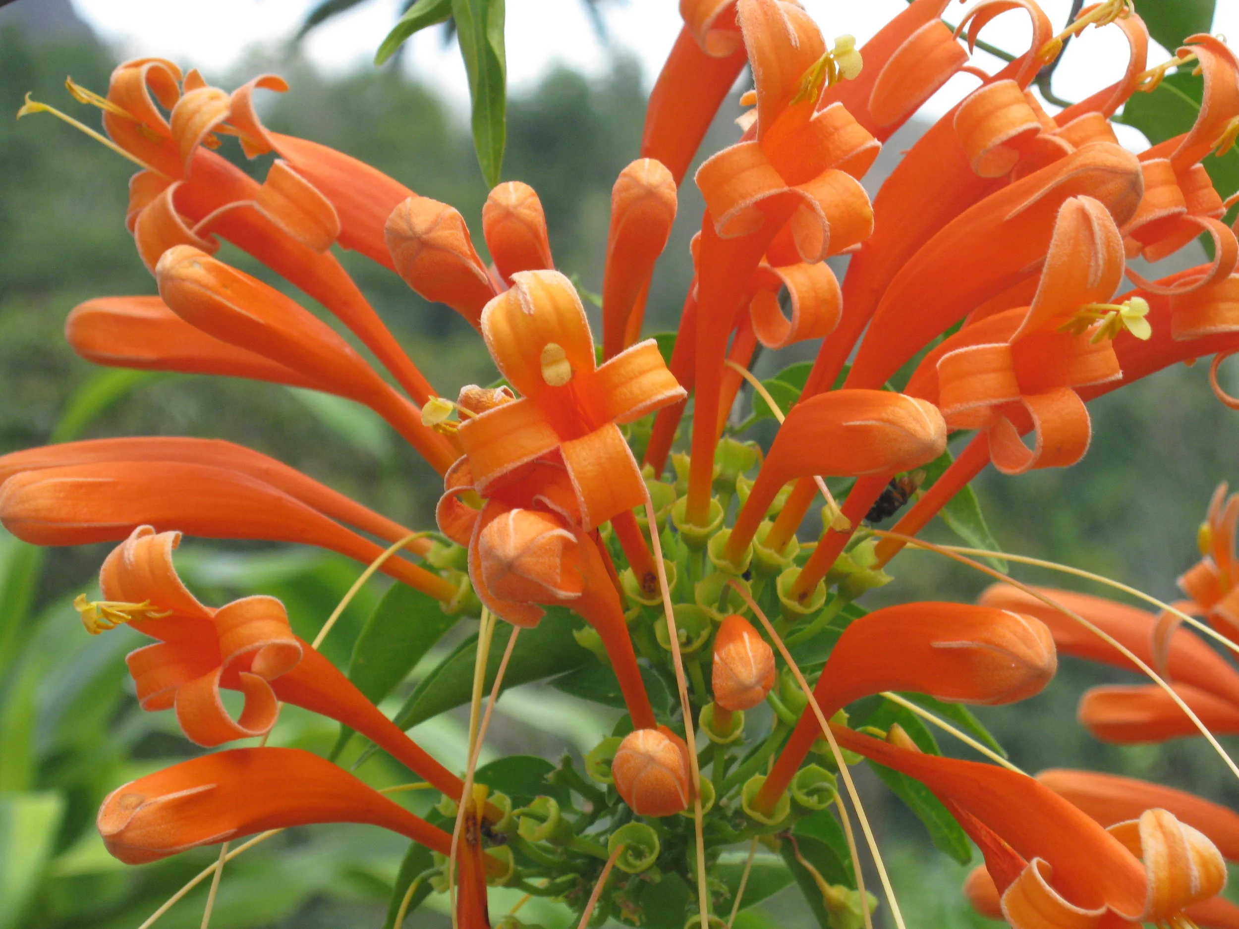 How to FINALLY Stop Judging Your Creative Writing Process