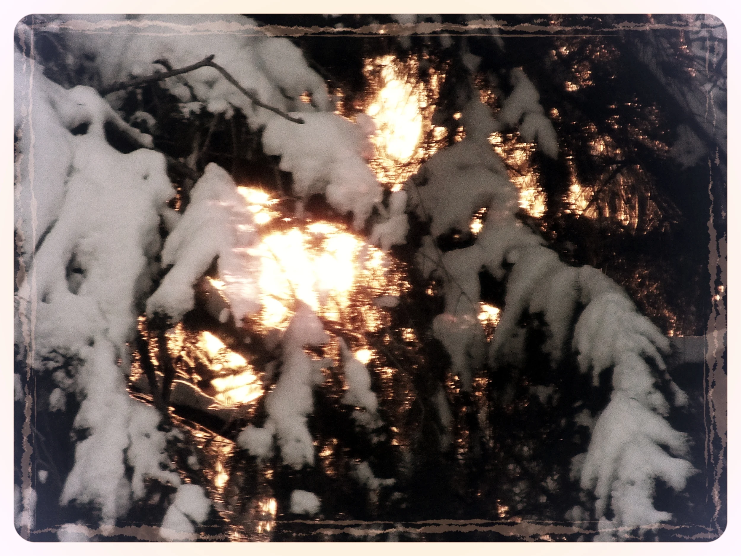 5 Reasons to Make Rest Your Top Priority