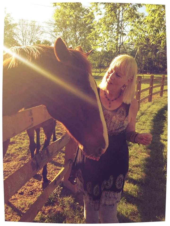 Writer Spotlight on Barbara Snow: Reflections of a Prolific Series Author