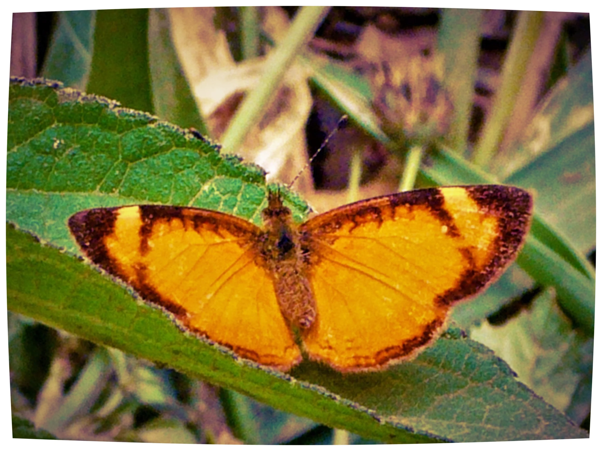 How to Write a Spectacular Ending to Your Book with a Touch of Surprise