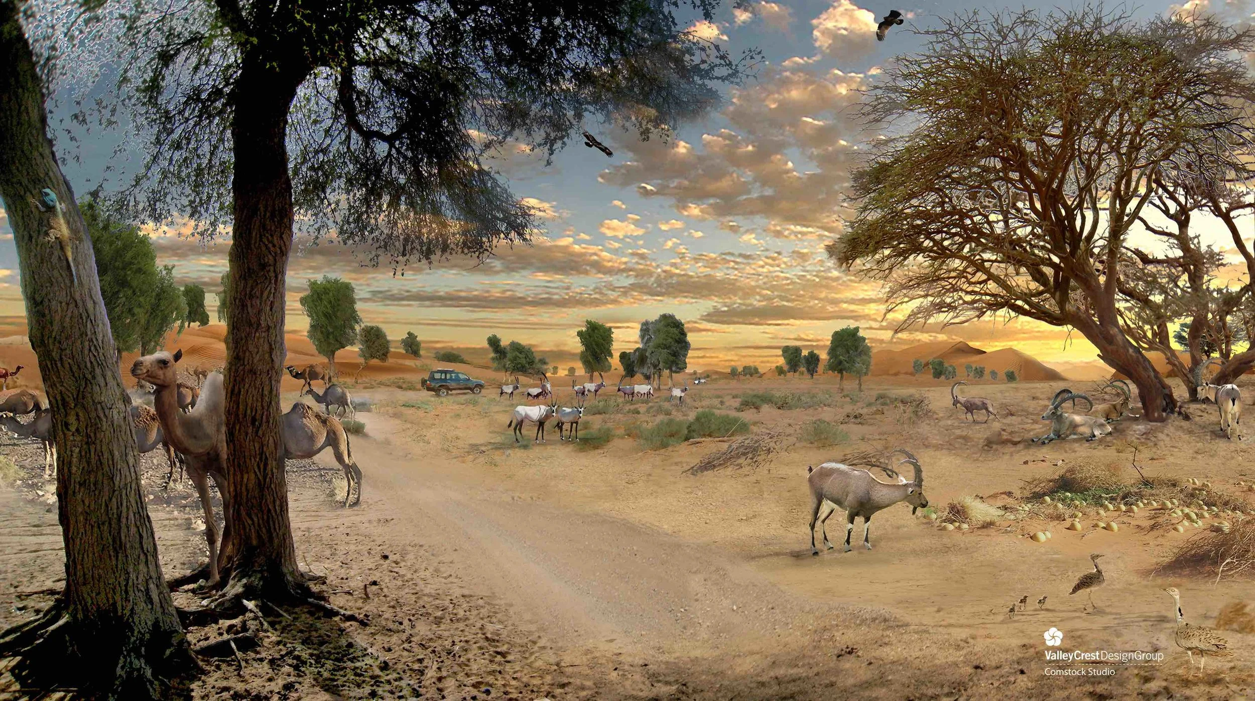 AWPR_Arabian Safari.jpeg