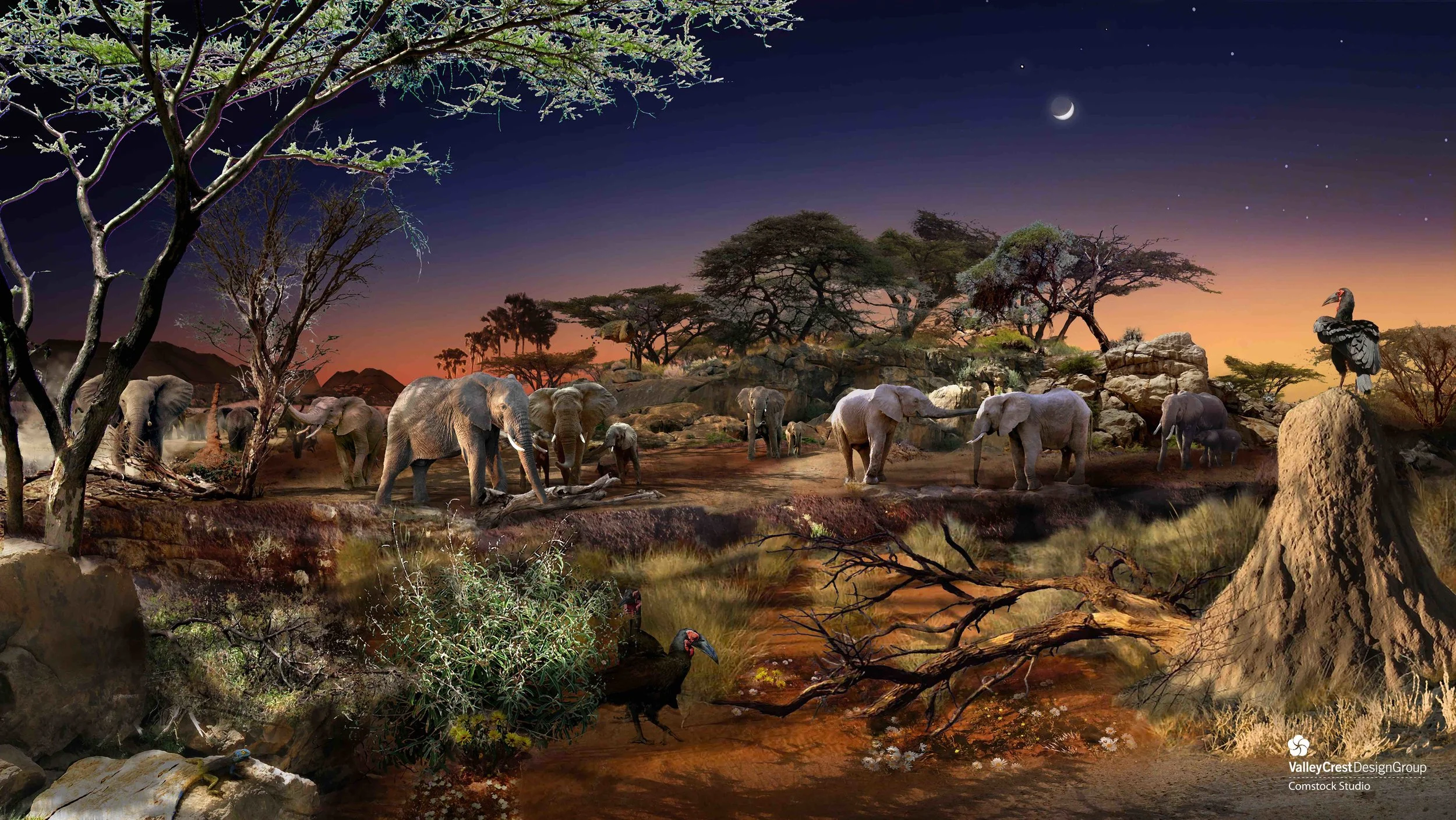 AWPR_Kalahari Safari African Elephant.jpeg