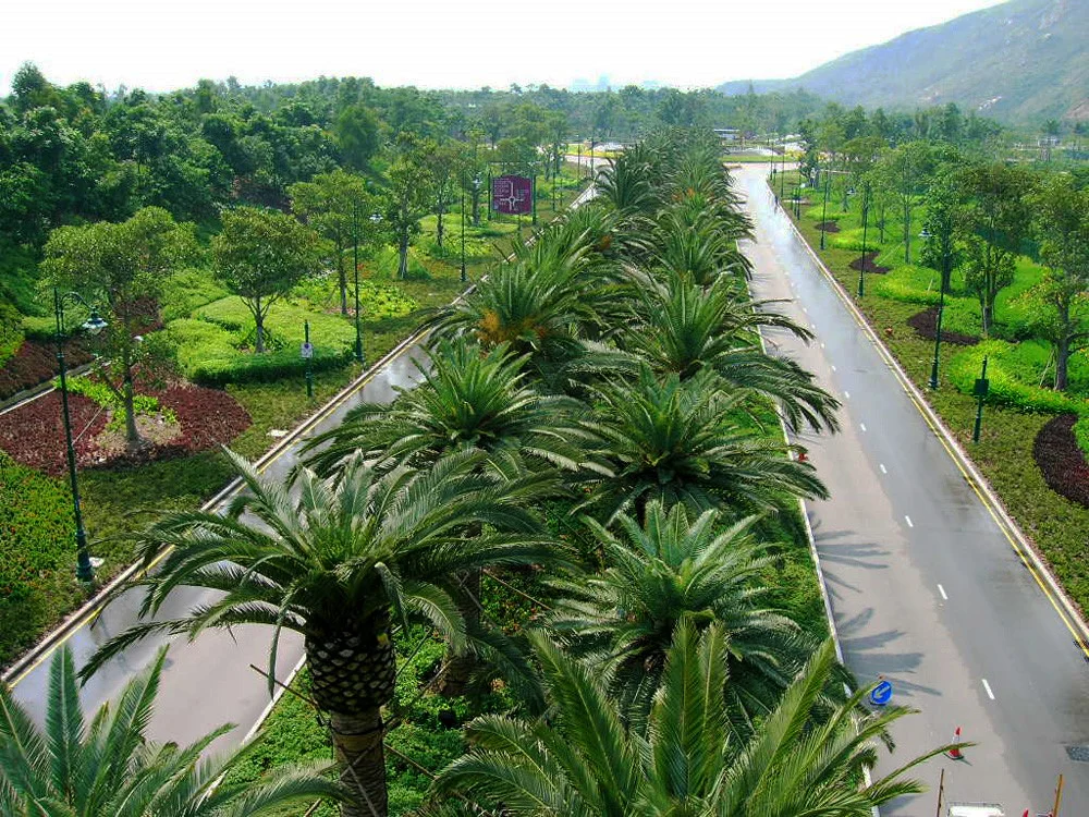 HKDL_entry road copy.jpg