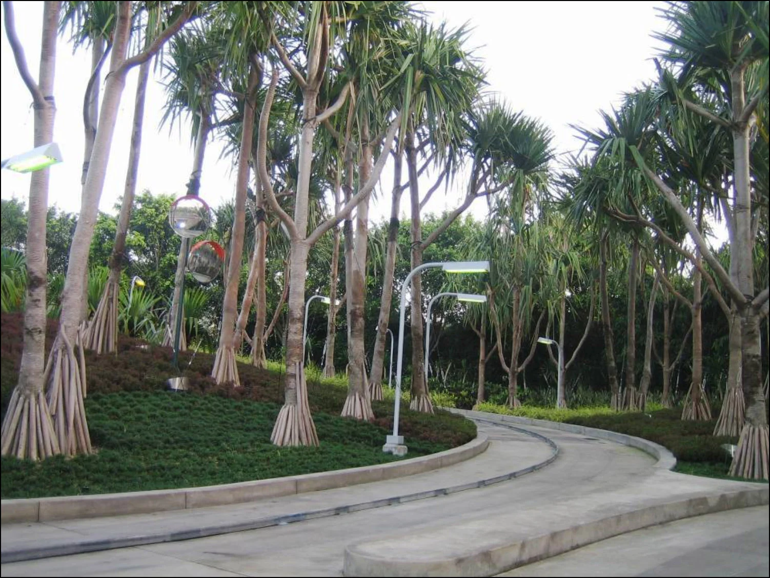 TP_28_Picture3.jpg