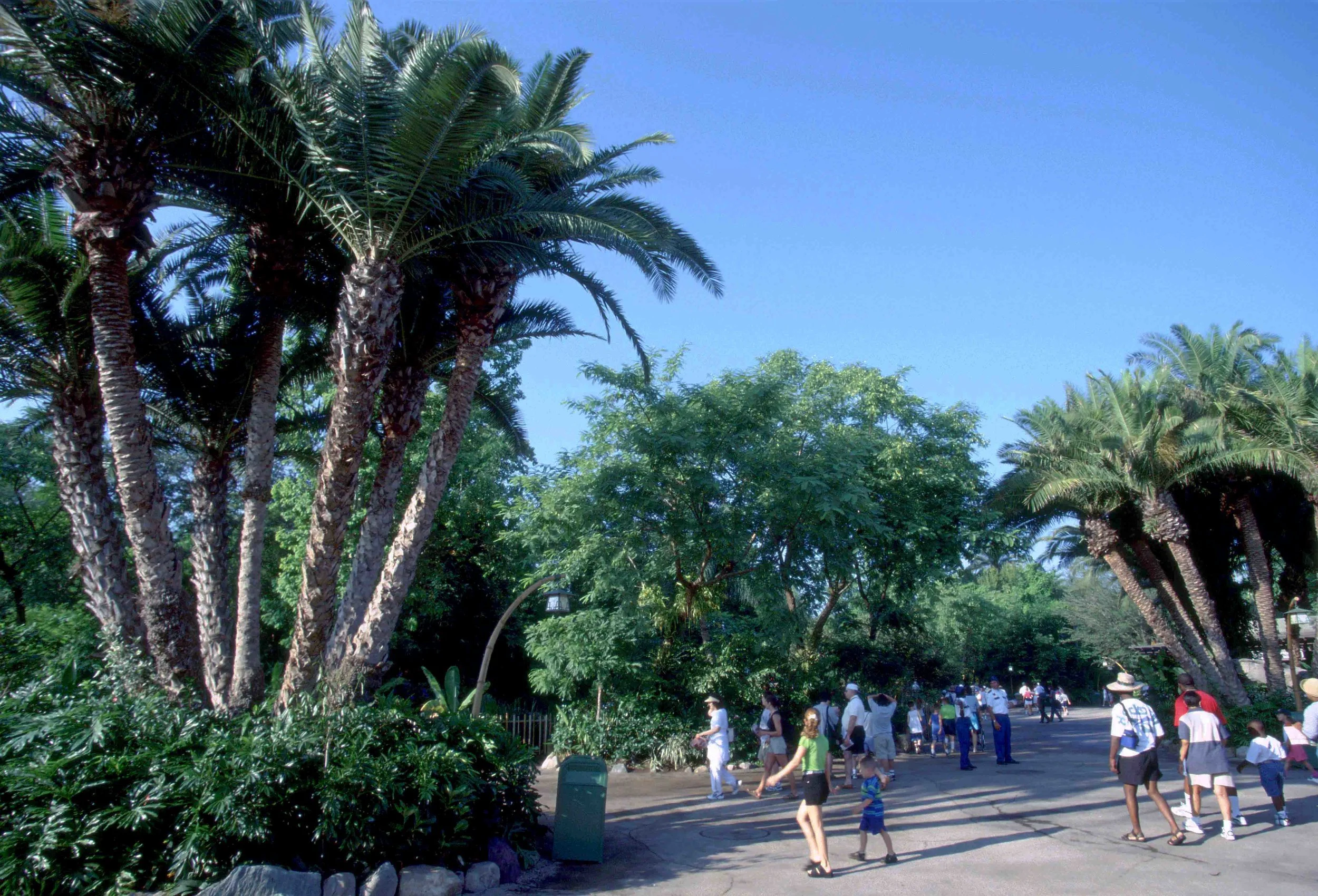 GL_213_S838595_77.jpg