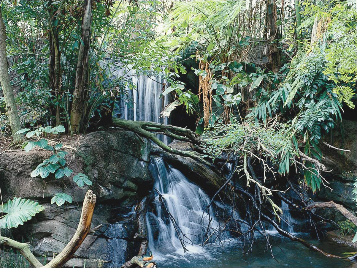 Waterfalls 2.jpg