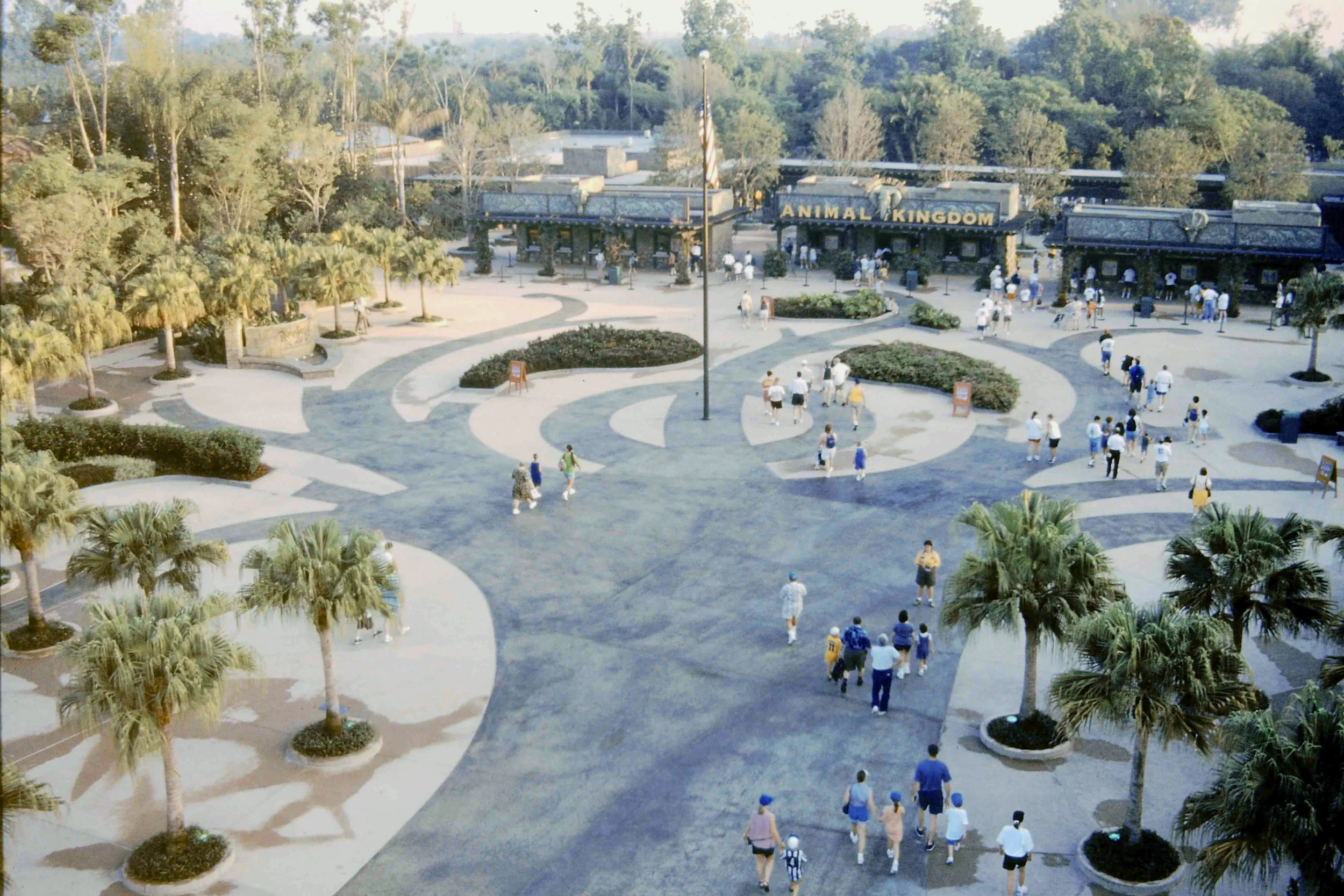 SL_02_animal kingdom.jpg