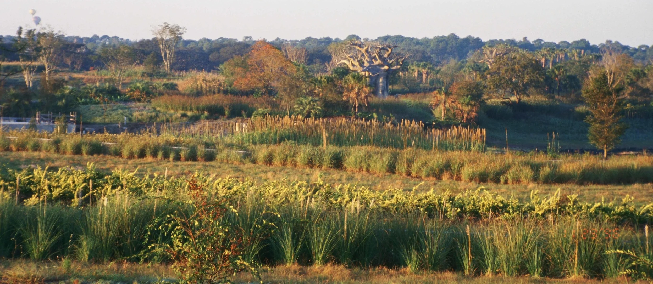 GL_196_S838595_58.jpg