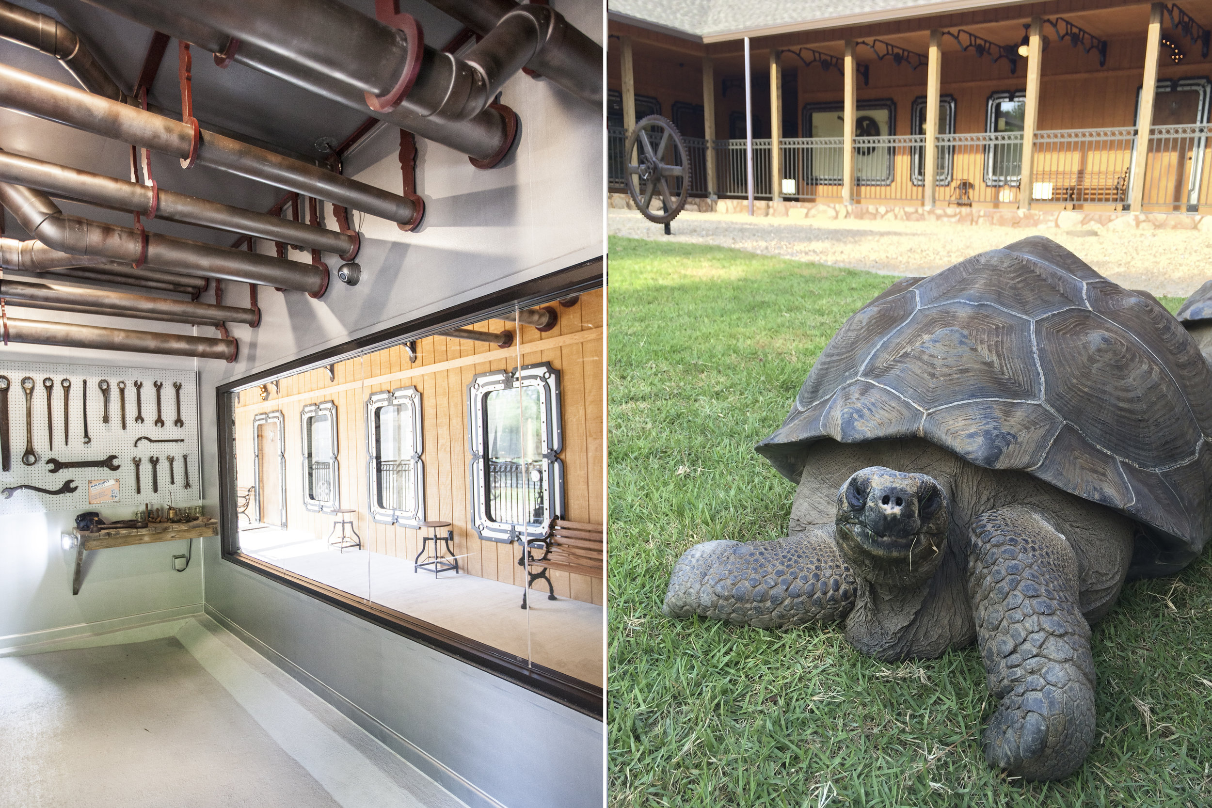 From the tortoise house, one can look out the big window to the covered walkway, or go through the tortoise door into the large tortoise roaming field.