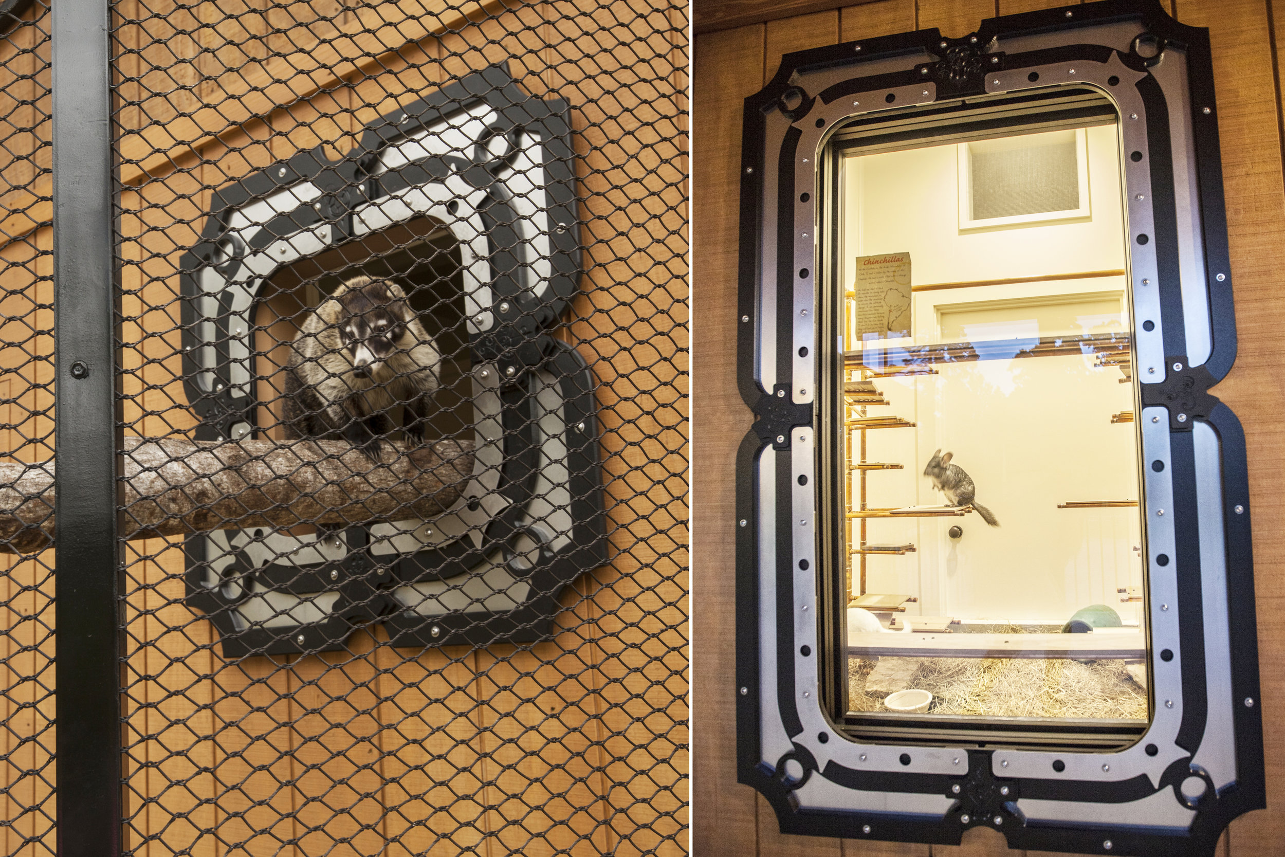  Animal viewing windows and openings everywhere are clad with decorative panels to create a fun and cohesive look throughout the building. 