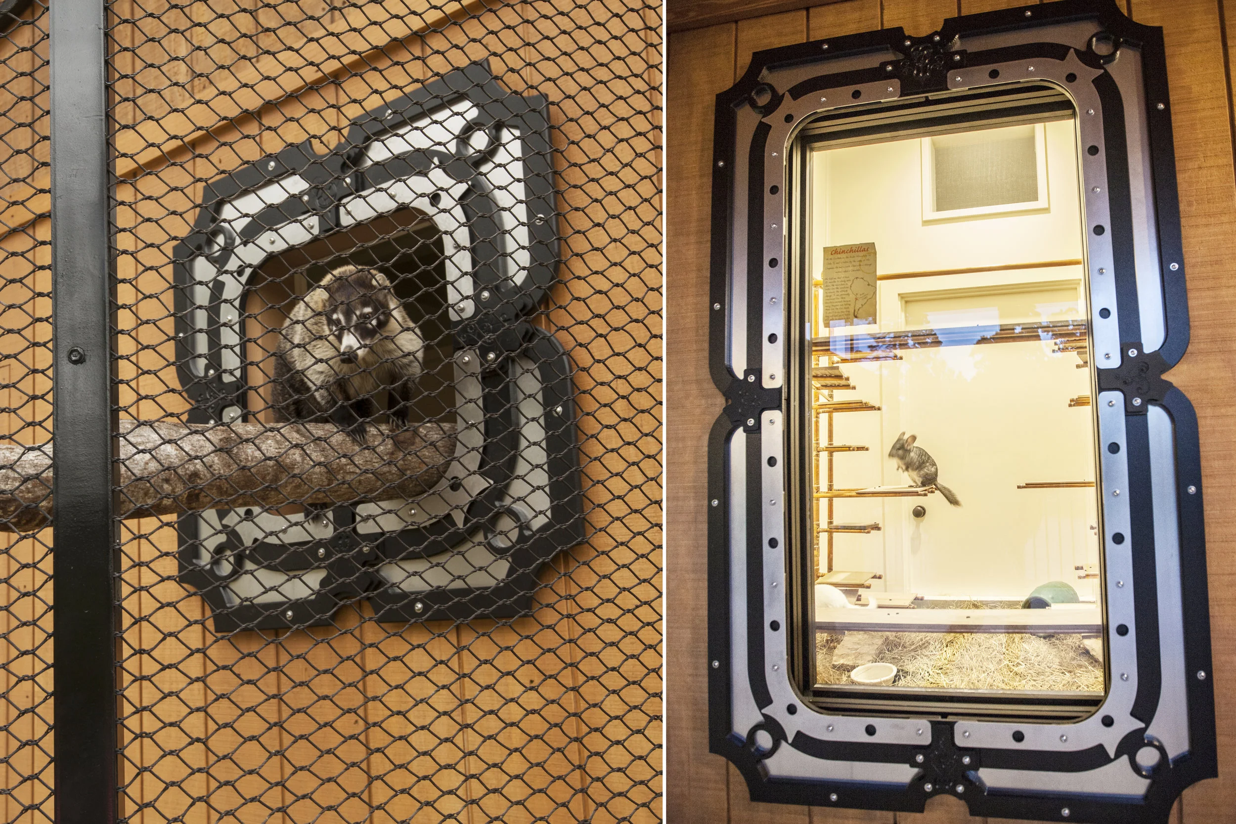 Animal viewing windows and openings everywhere are clad with decorative panels to create a fun and cohesive look throughout the building.