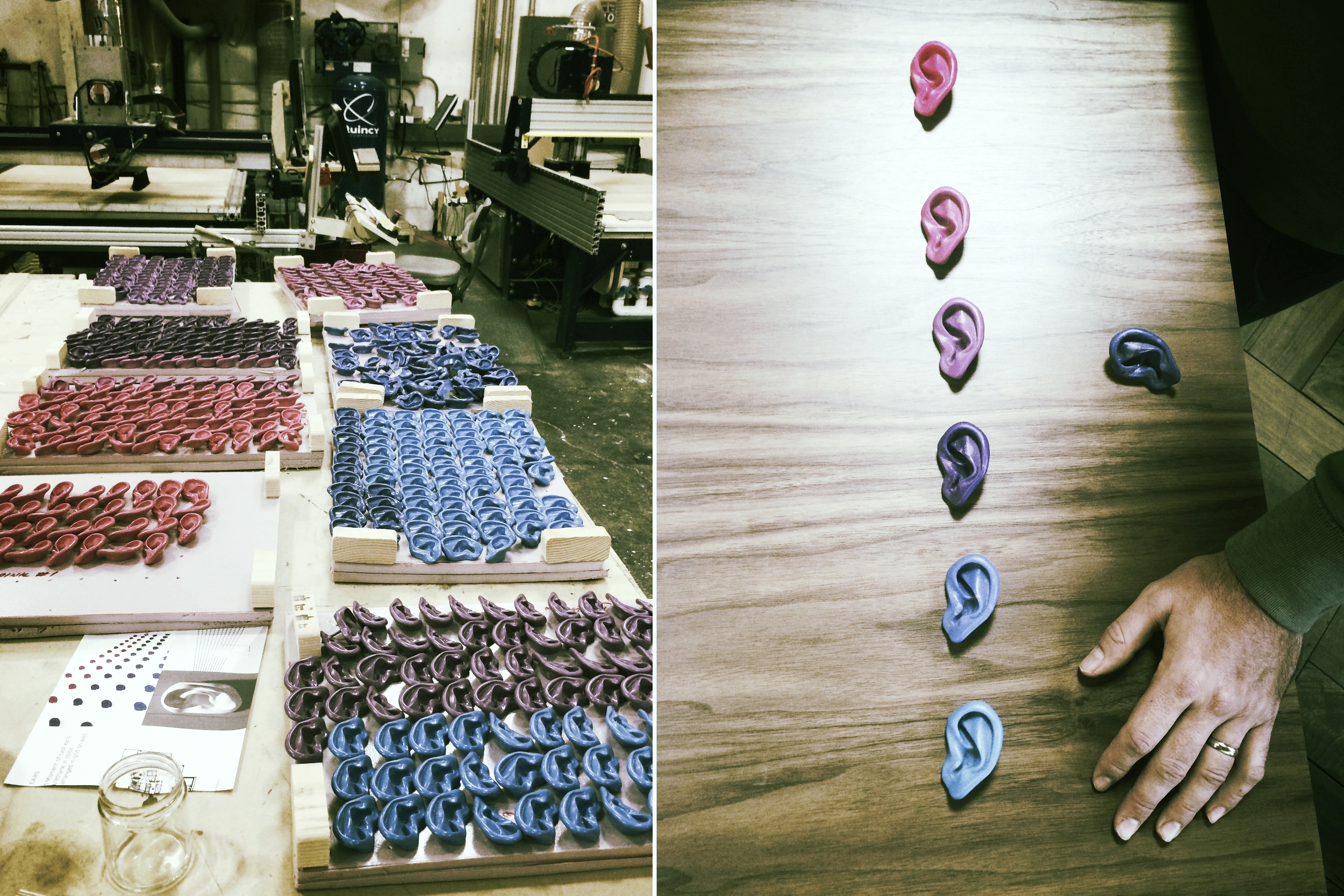  Choosing the ear layout and color gradient at our fabrcation shop. 