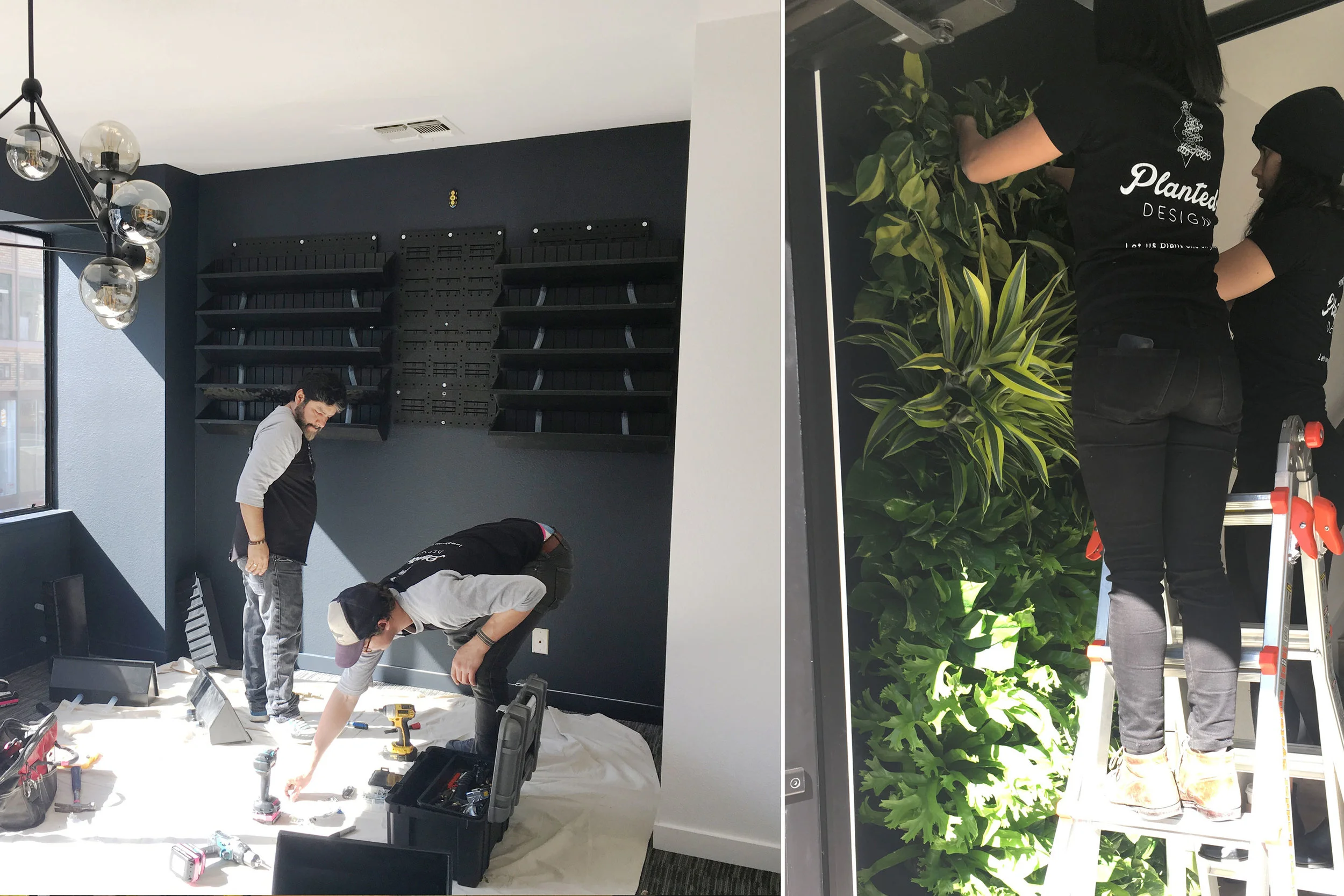 The living walls we designed, with Planted Design are going up on the walls. These will bring in some much needed lush elements into the office, and will be striking to look at without taking up much space.