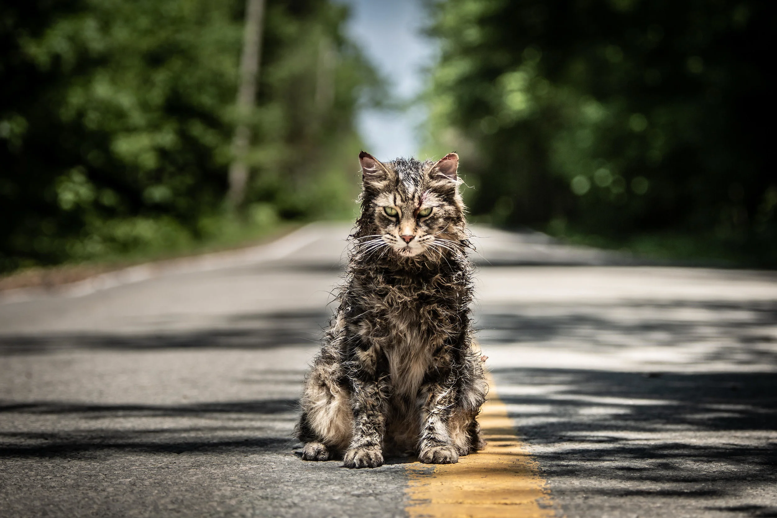 Ayuh, ‘Pet Sematary’ Sure Looks Scary