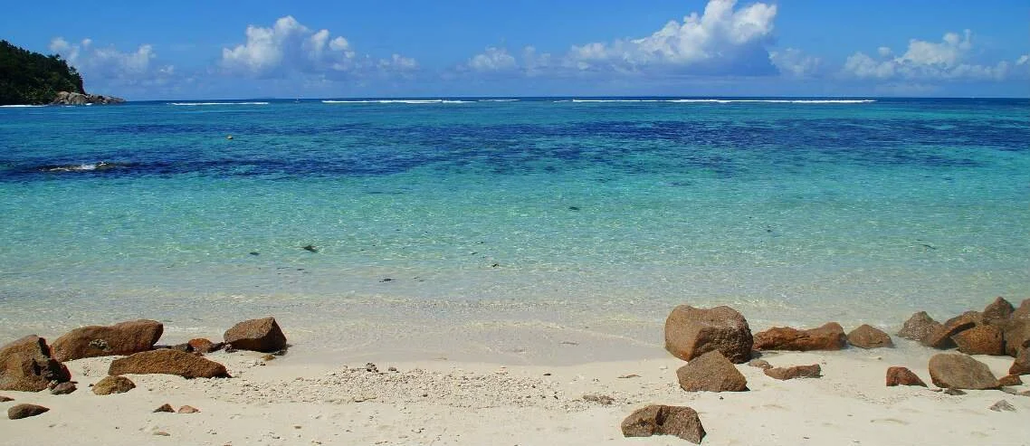 Dispatches From An Island: Volume One