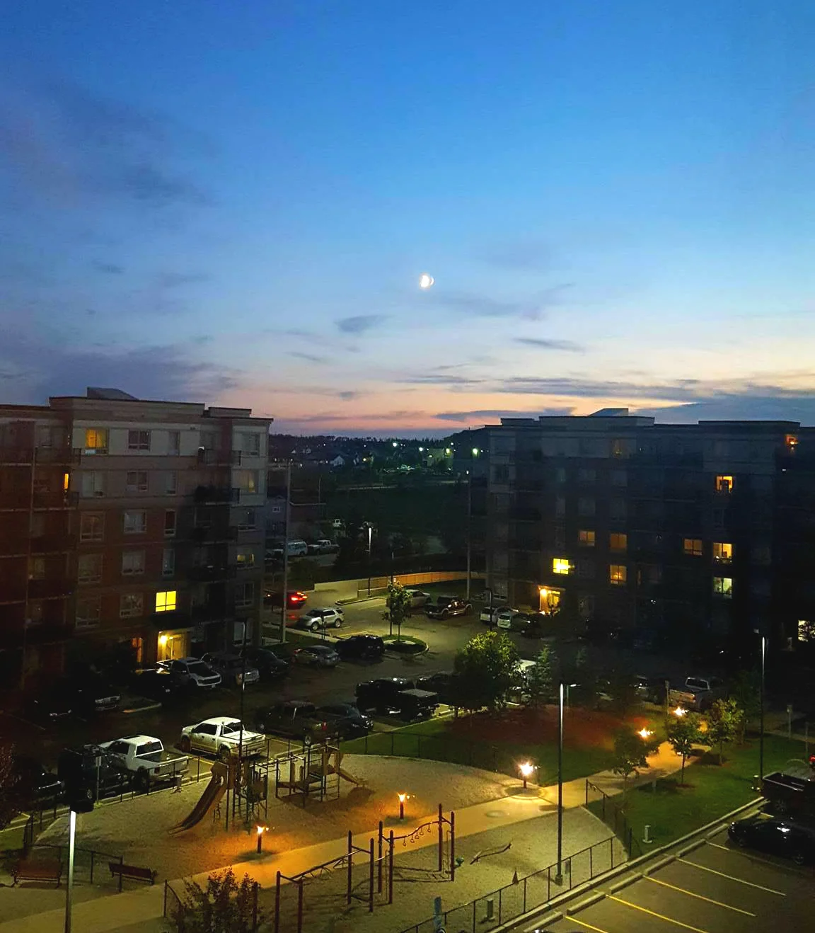 view