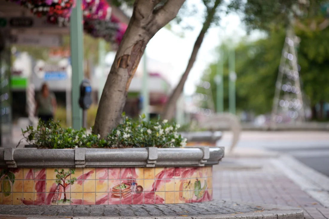Planter Boxes by Judith Rosamund (Poore)