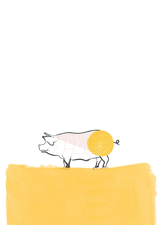 Cerdo-Minis-Solo_02_flat.jpg