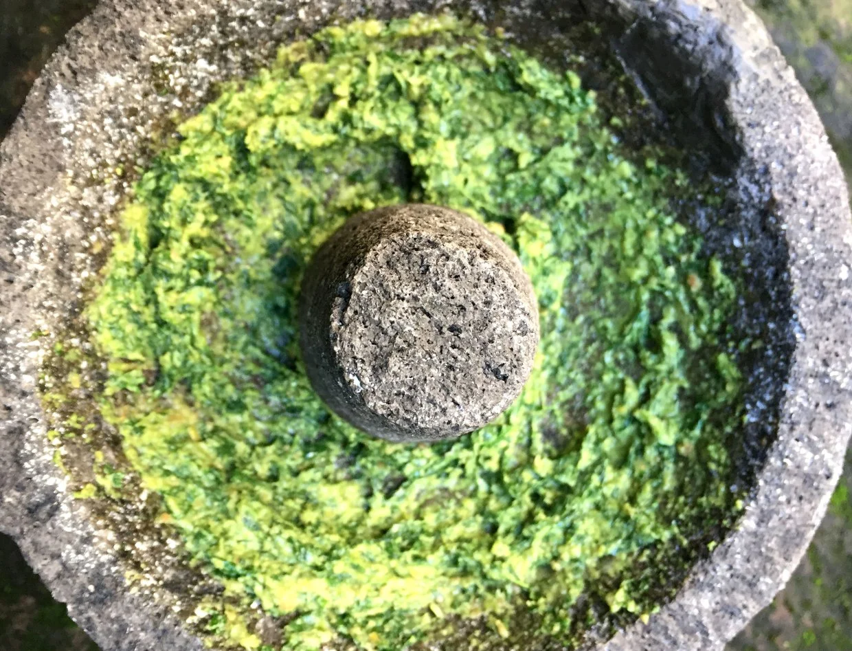 03292018_receta-pesto 01 (molcajete).jpg