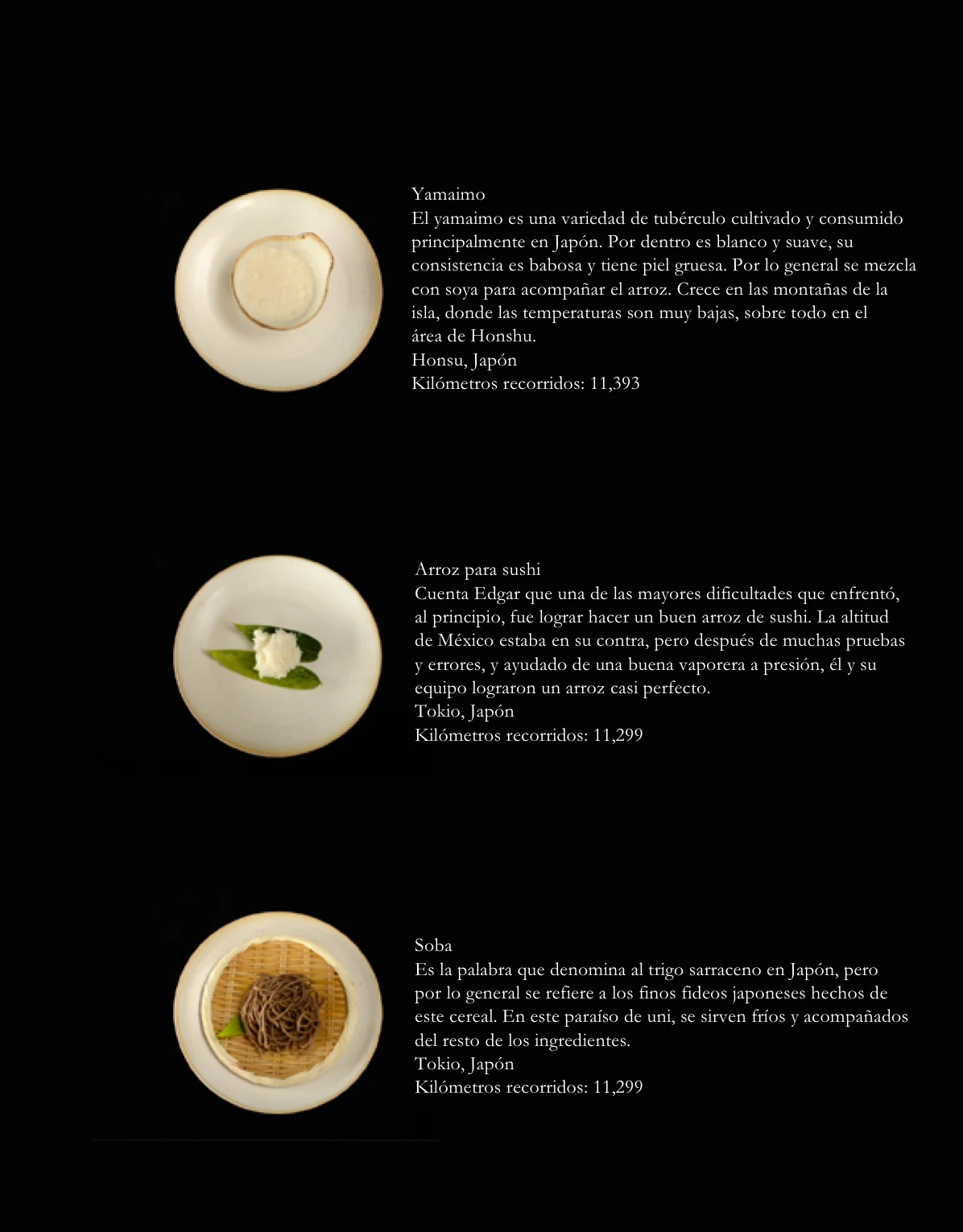 05092018_delplato-rokai ingredientes 01 ed.jpg