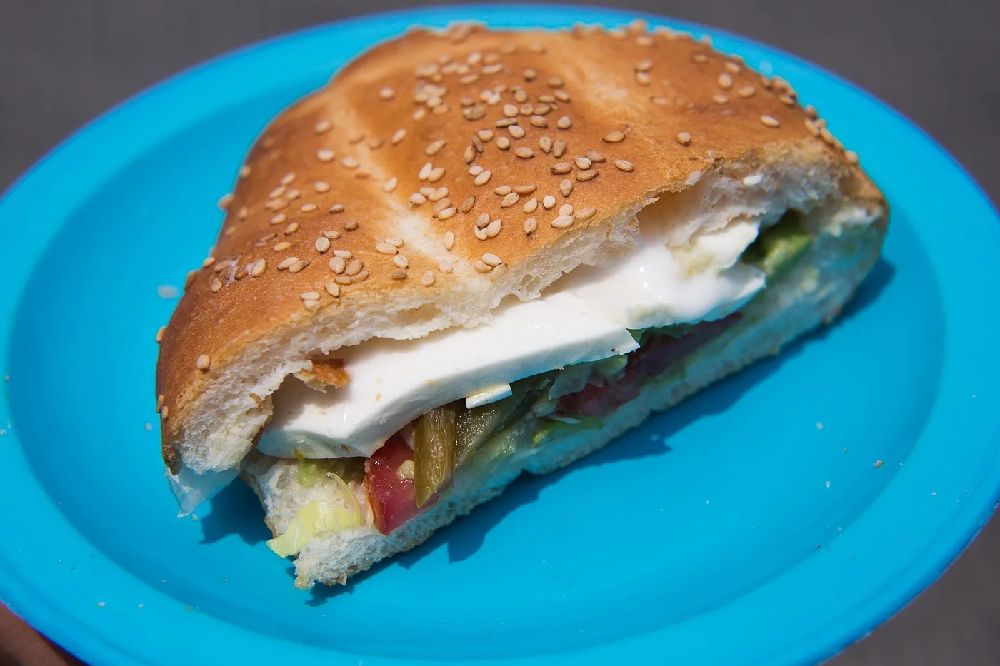 tortas sin nombre de la villa 2.jpeg