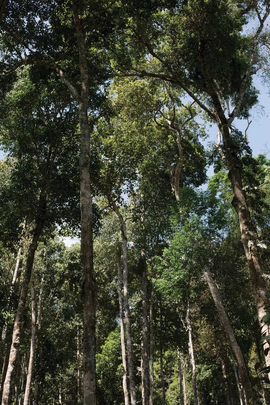 11042018_nota-cafe y coca 04.jpg