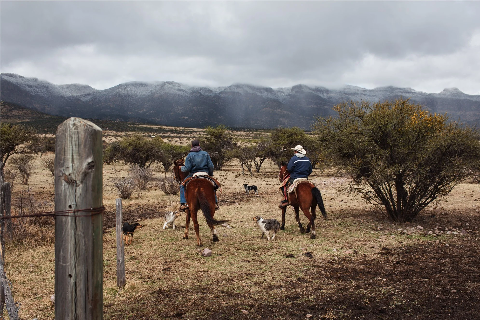 11252018_nota-durango desierto 10.jpg
