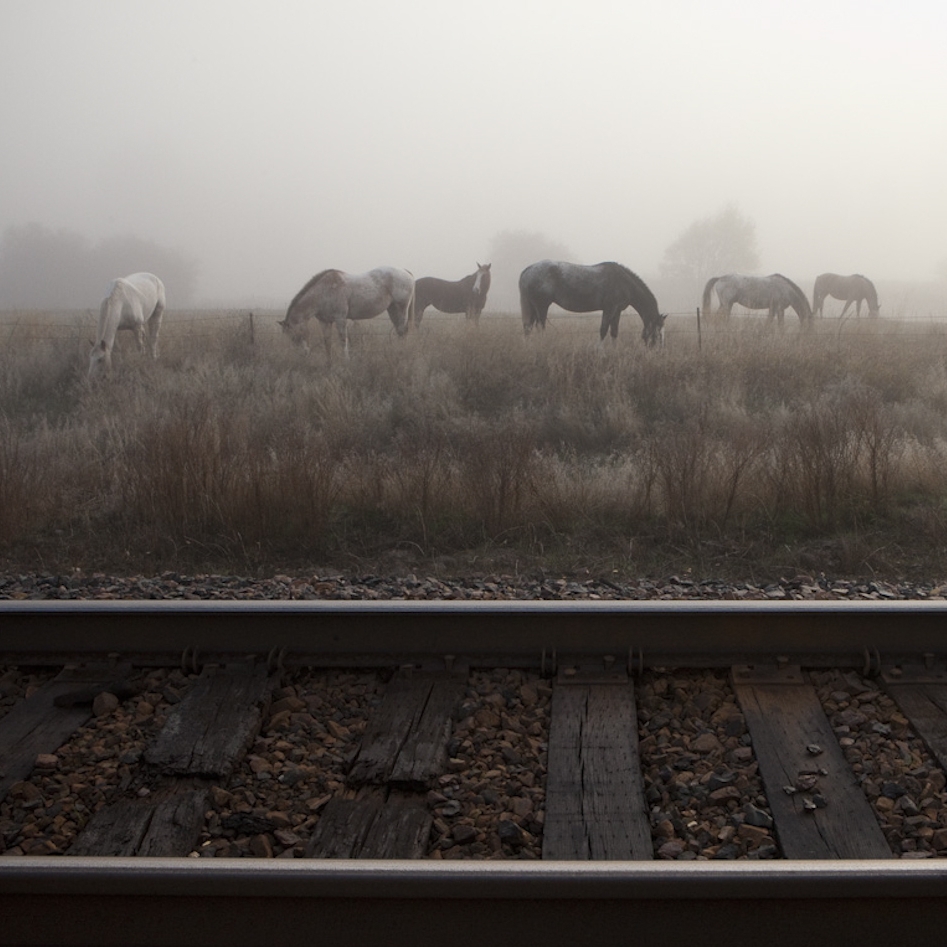 Coal Trains This is a story about coal in America, and how the mining and transport of the shiny black rock has set two Native American tribes – and many others between them – against one another in an epic struggle over the future of our dirtiest fossil fuel. In 2014 National Geographic ran a short daily news piece about a proposed $500 million marine terminal near Bellingham, W.A. that would carry U.S. coal to energy-hungry Asia. If built, as many as 18 new freight trains would run back and forth each day from the Powder River Basin in Wyoming and Montana to the Gateway Pacific Terminal and two others in Oregon and Washington. For many Crow Indians, who live in poverty, the thick coal seam running below their Montana reservation seems like a savior. With over half the adult population unemployed, and lacking adequate housing or healthcare, a new agreement to mine with Cloud Peak Energy, one of the largest coal companies in the world, could prove a lifeline for the tribe in the form of jobs, and hundreds of millions of dollars. But only if there is a way to get that coal to market. Opposition to export terminals in the Pacific Northwest has reached a fever pitch, with residents, mayors and environmental groups lining up to protest the pollution and traffic congestion that would accompany this new portal to the global fossil fuel trade. Ultimately, the fate of the Gateway Pacific Terminal may rest with the Lummi Indians, a Native American tribe in Puget Sound whose treaty rights under federal law guarantee them access to hunt and fish their native lands near the proposed terminal site. To many Lummi, coal is an agent of their demise, threatening to pollute the fishing grounds they depend on for a living and defile the ancient cultural sites that sustain their traditions. I have been following coal’s proposed odyssey – from the Crow Reservation in southeast Montana to the Lummi Nation on the northwest coast – to report on one of the nation’s largest and most influential industries. At a time of flagging U.S. coal consumption, there are global issues at play here – global warming, renewable energy, international trade – but our story goes beyond corporate boardrooms, commodity markets and legislative chambers to explore the stakes for communities at either end of the rail line. In between the Crow and Lummi Nations, there are myriad communities – Spokane and Seattle, for instance – with vastly different views about if and how the U.S. should export coal to countries like China and India.