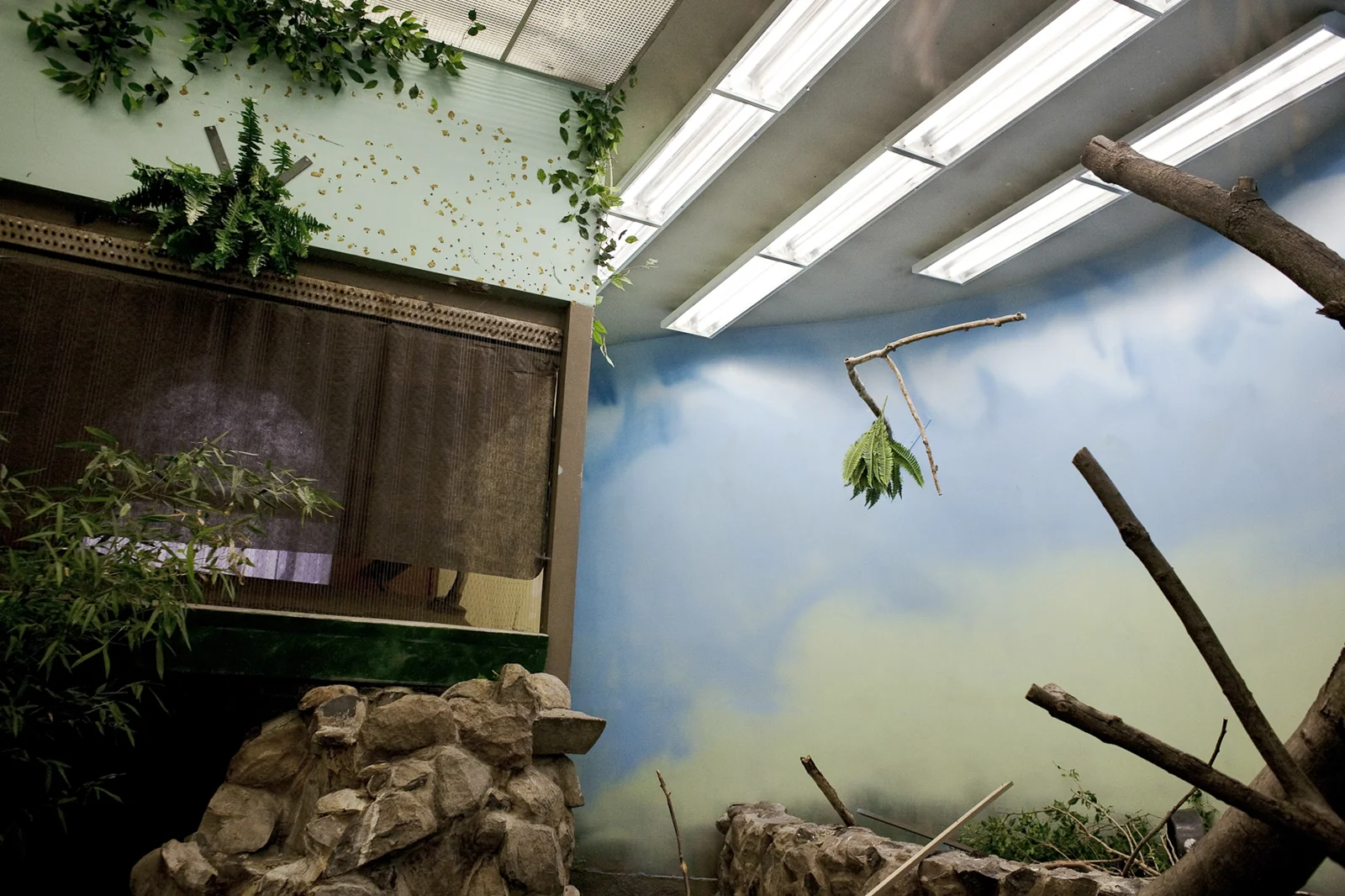 kukla_captive_landscapes_05.jpg