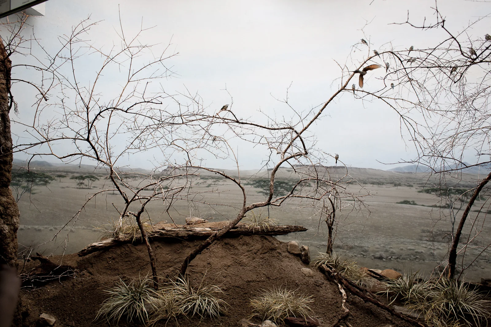 kukla_captive_landscapes_10.jpg