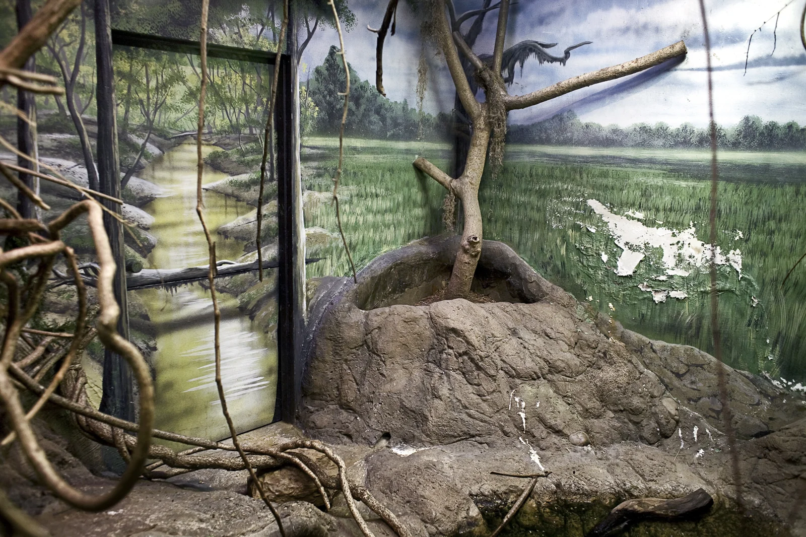 kukla_captive_landscapes_12.jpg