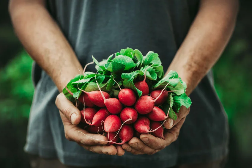 California Organic Food, Farming Act Signed into Law