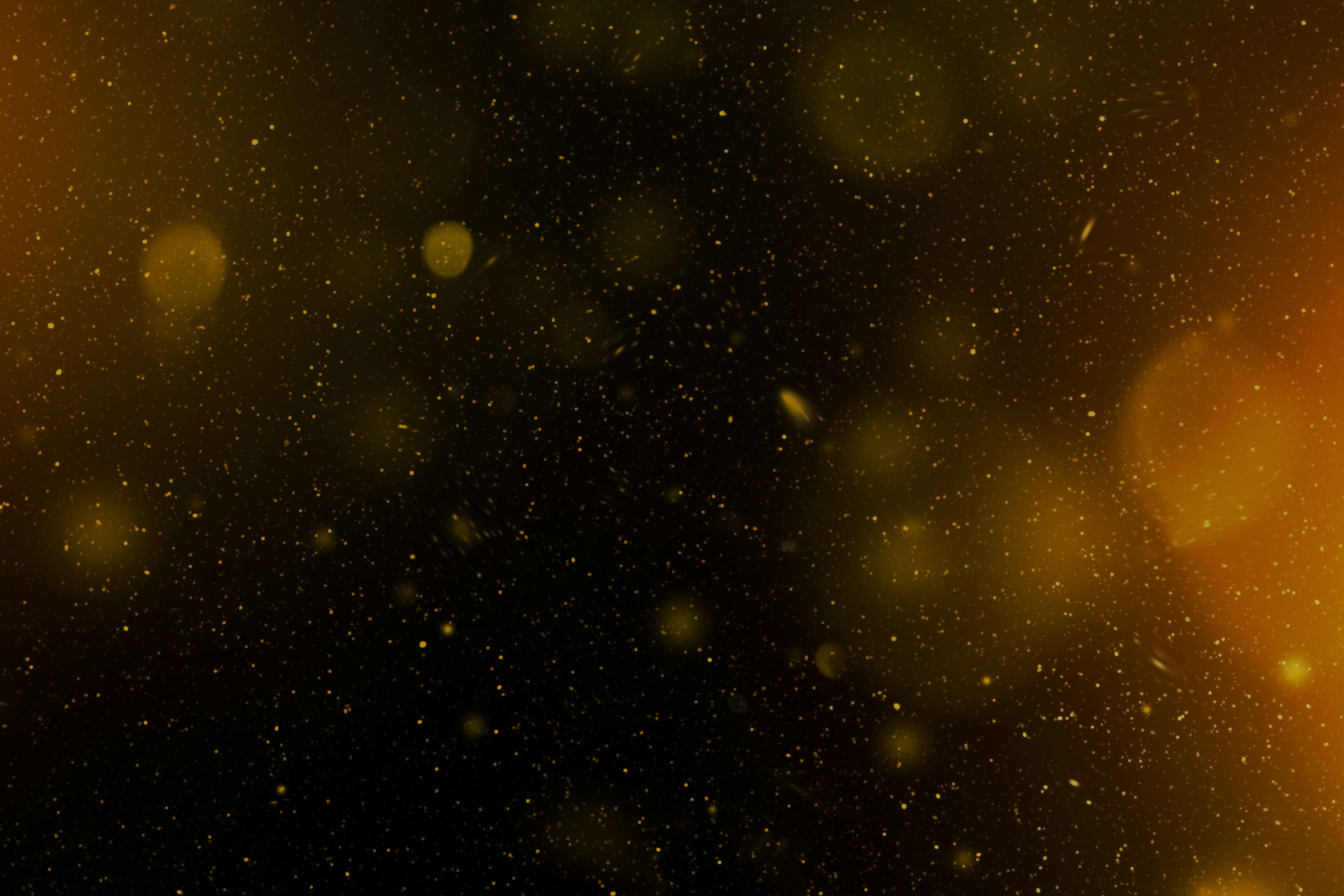2025 fundraiser - banner (12).png