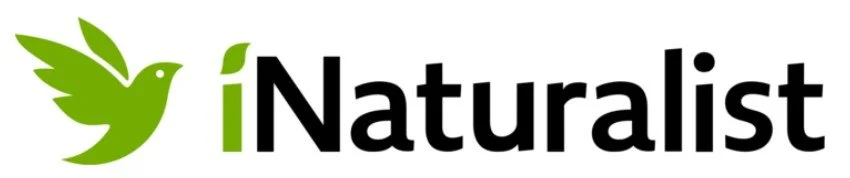 Inaturalist Logo.jpg