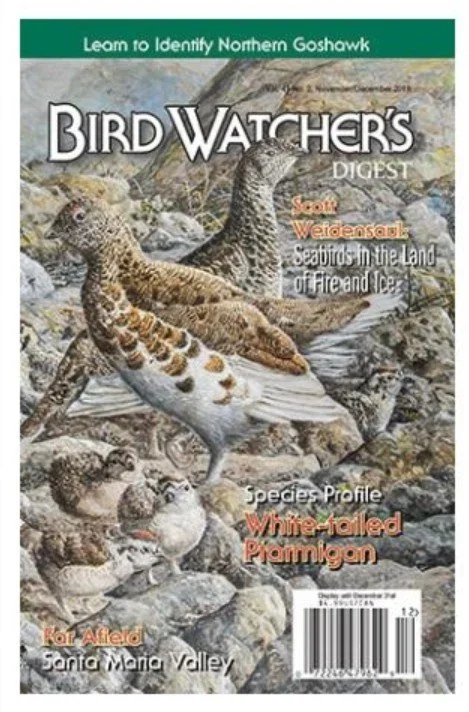 BWD Ptarmigan Cover.jpg