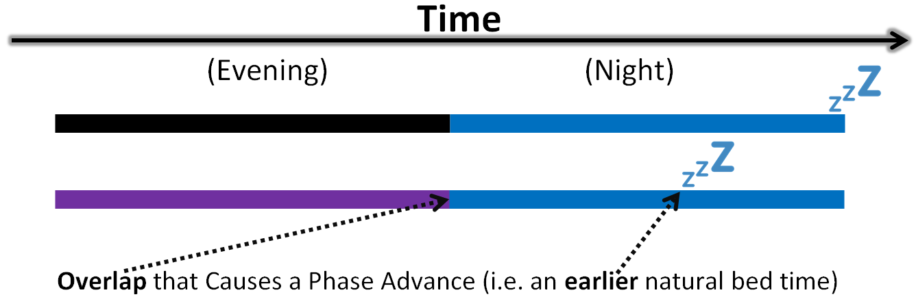 melatonin overlap.png