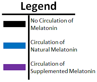 Melatonin overlap legend.png