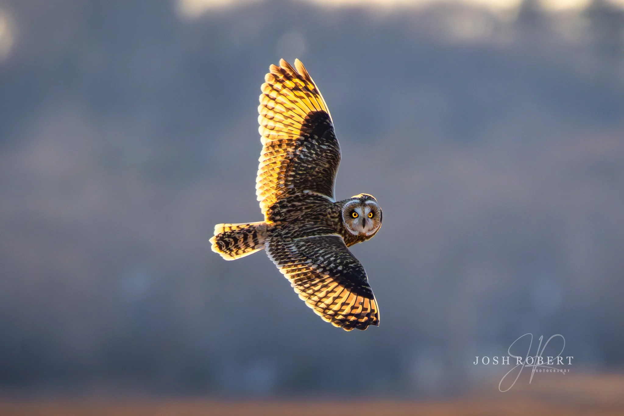 Who Are You Looking At?