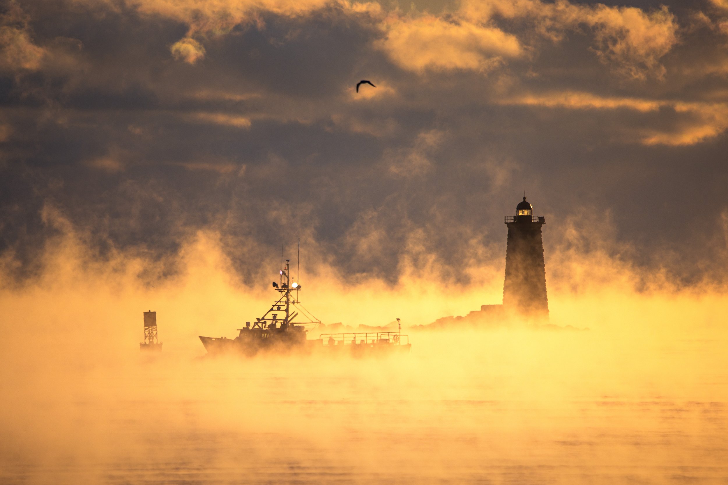 Fisherman's Fog Web (1 of 1).jpg