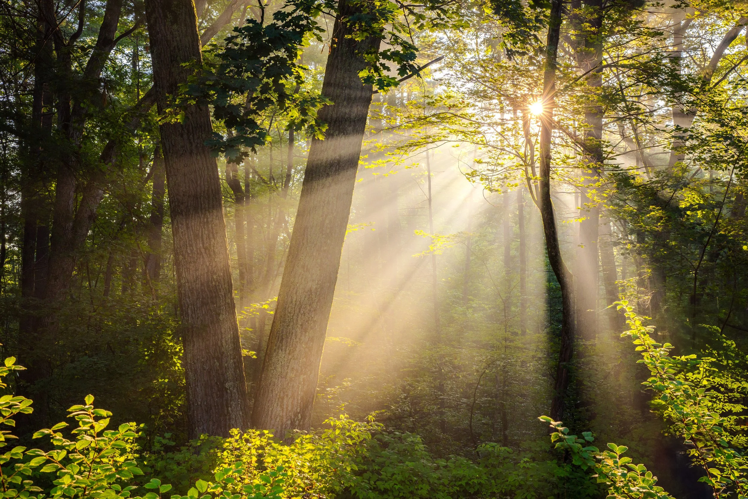 Londonderry Light Rays Web (5 of 5).jpg