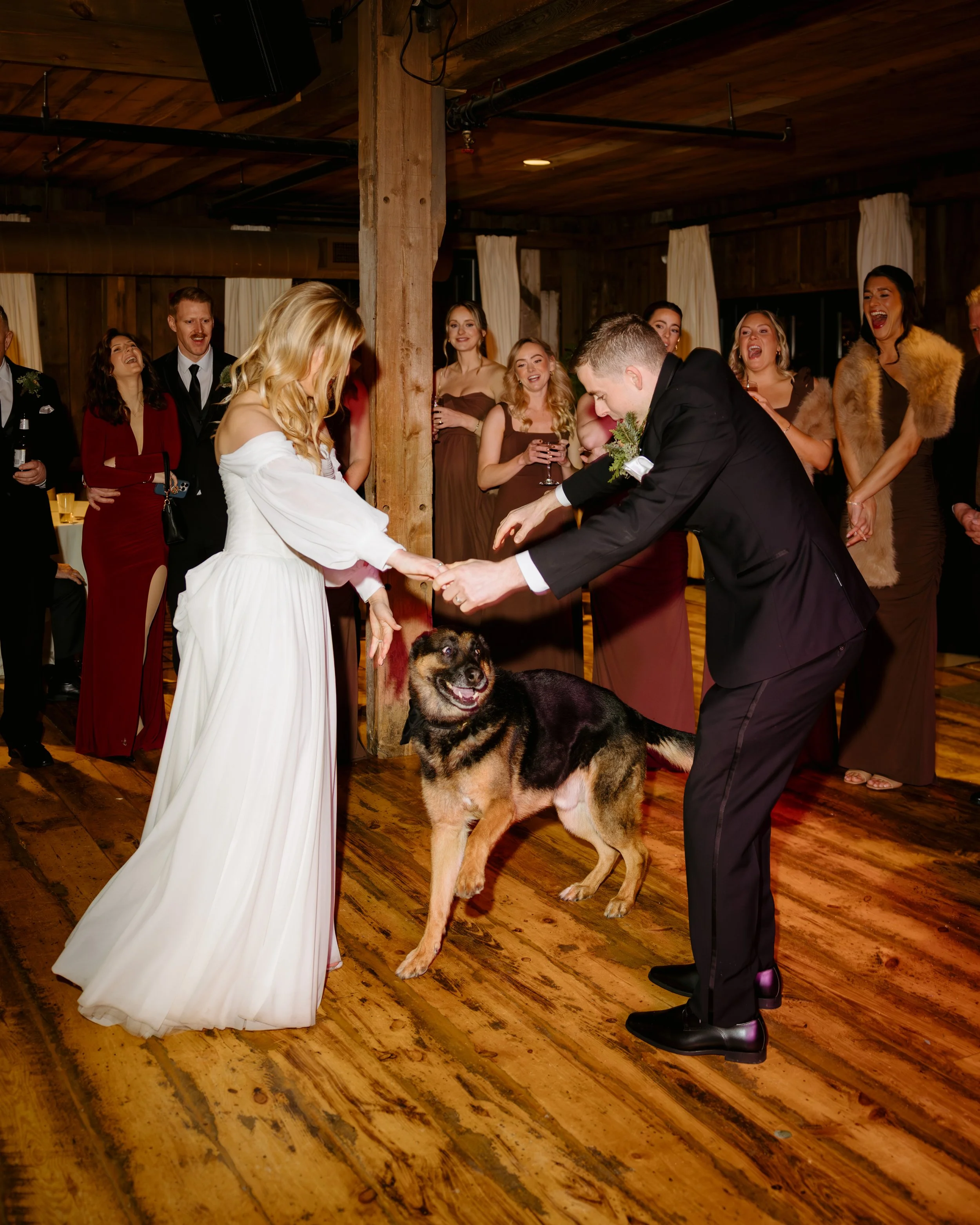 A wedding reception ceremony where a bride and groom are exchanging rings with their dog, a large German Shepherd, standing between them on the wooden dance floor. Guests are watching and smiling in the background.