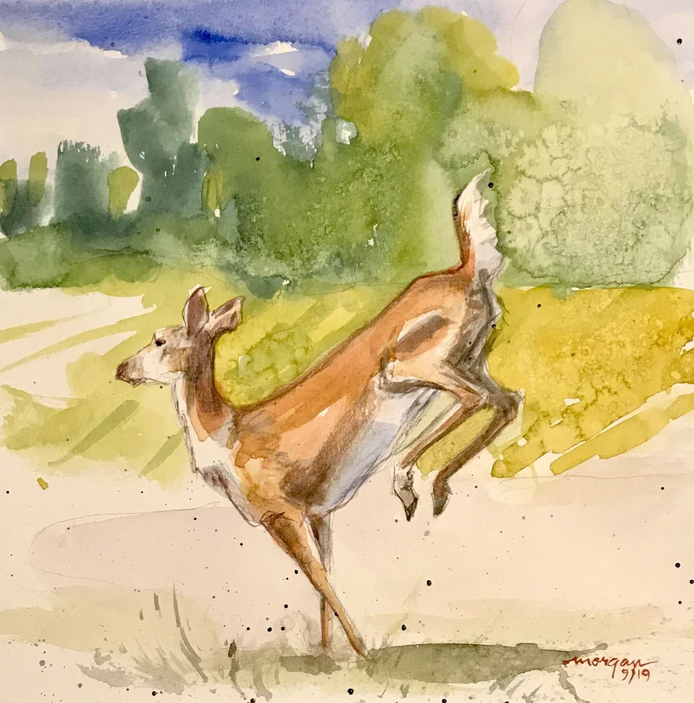 Doe Watercolor