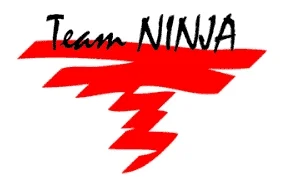 Logo_TeamNinja_White.jpg