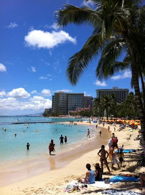 waikiki-.jpg