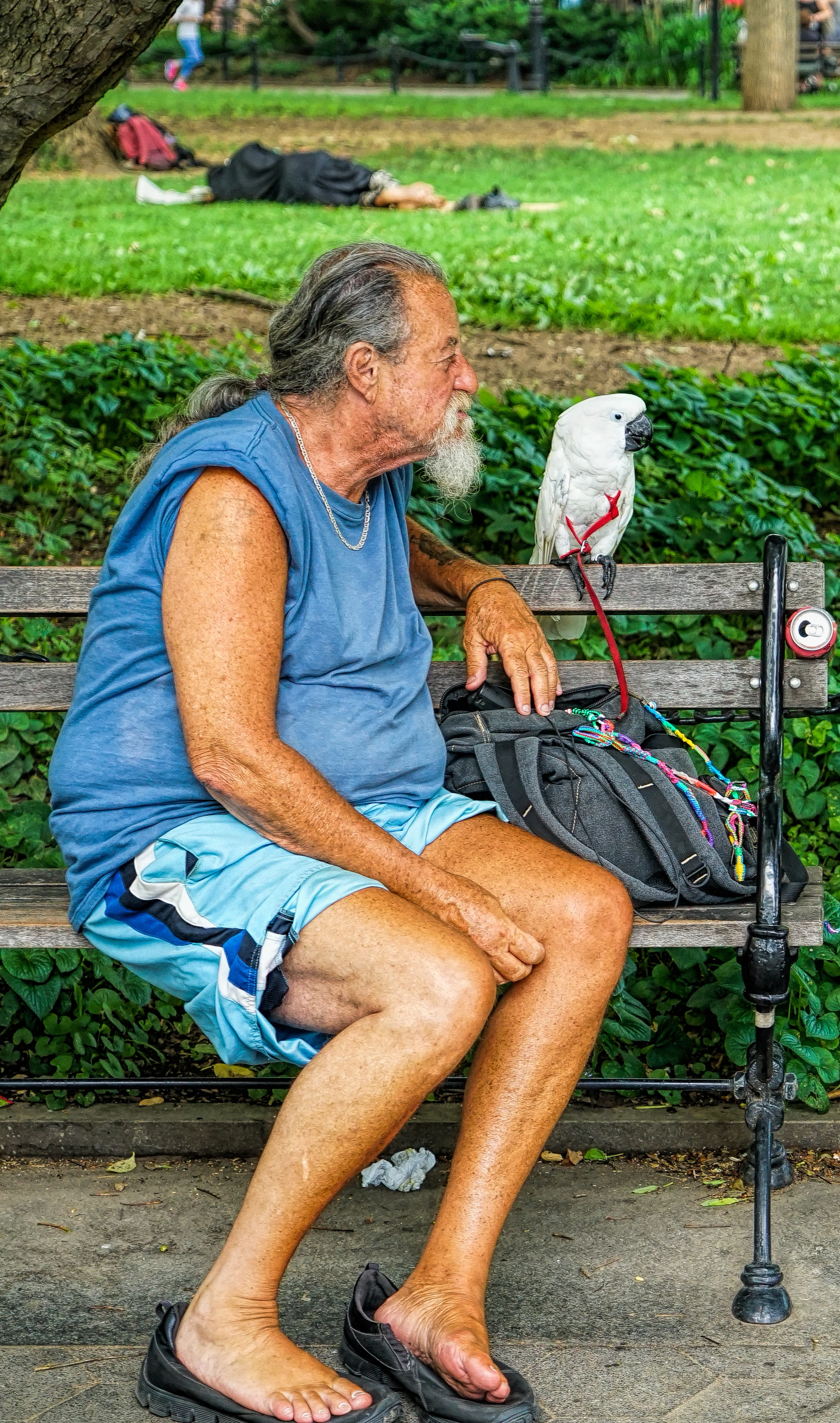 Friends Hanging In The Park
