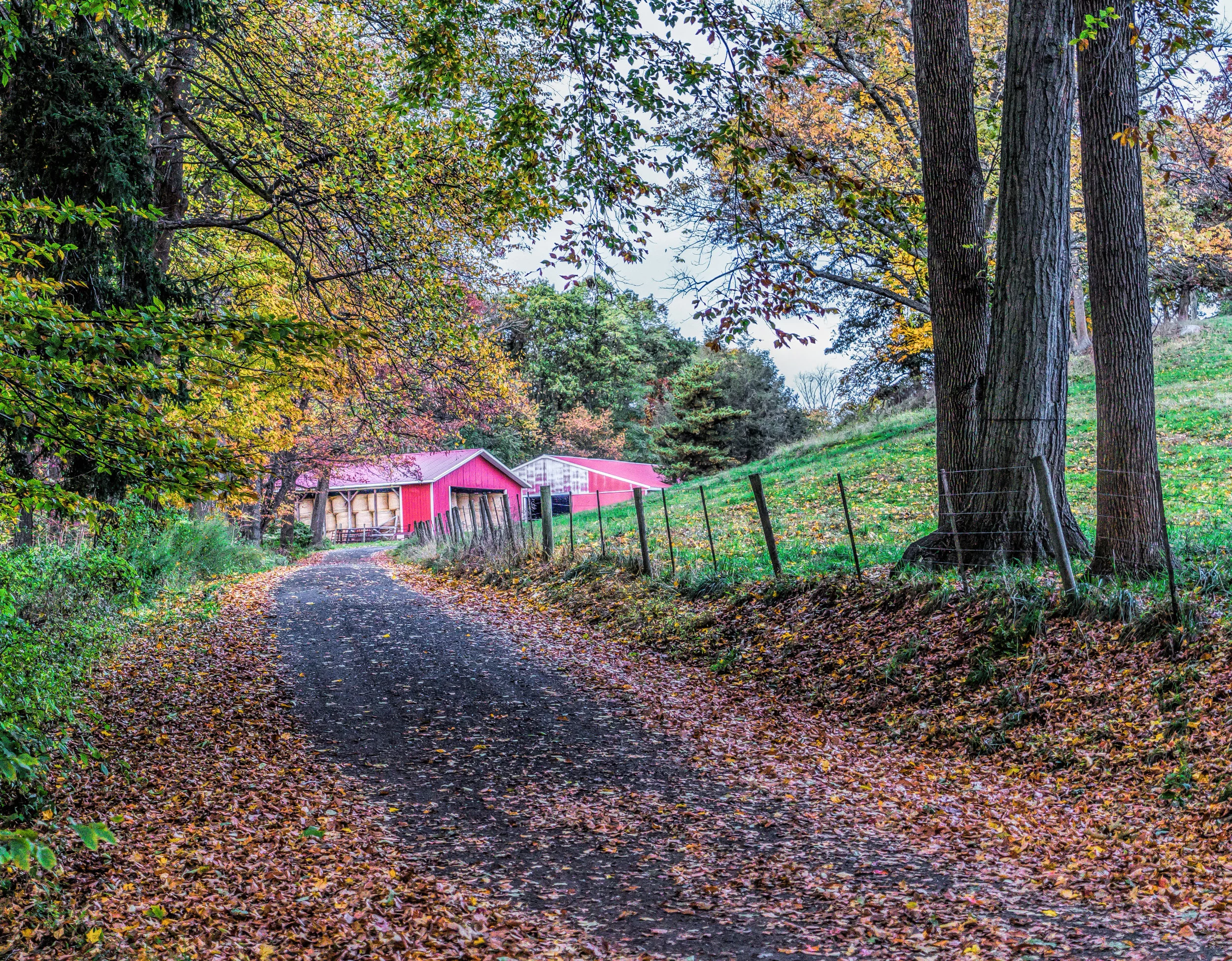 Hudson Valley Colors 